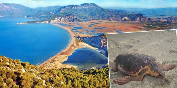 İki aydır haber yok: Güzel İzmir’in sinyali Gazze açıklarında kesildi