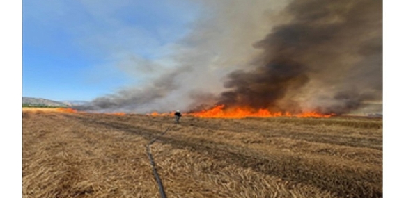 İzmir İtfaiyesi son 48 saatte 220 yangına müdahale etti