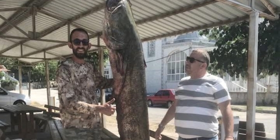 Meriç Nehri’nde yakaladı: Tam 80 kilo ağırlığında