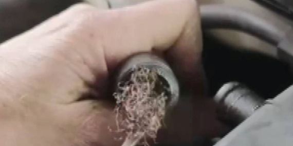 Pes dedirten görüntü: Otomobilin motorundan çıktı