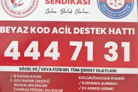 hekim-birligi-beyaz-kod-acil-hukuk-destek-hatti-hizmette-BdOC9jEc.jpeg